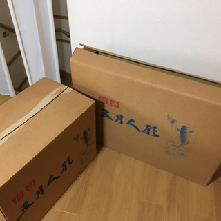 五月人形(美品)