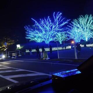 内職さん募集(^∇^)