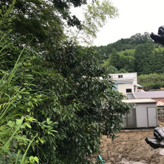  【個人売買】空き家🏡問題で困っていませんか？空き家対策指南、カ...