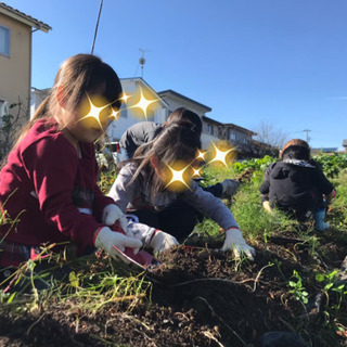 みんなで美味しいお野菜作りませんか？🤩💚🍀
