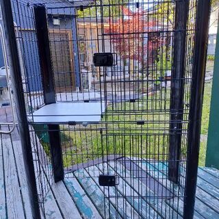 ネコ飼育スタートセット