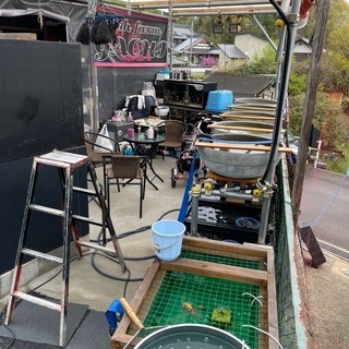 金魚　メダカ　の画像