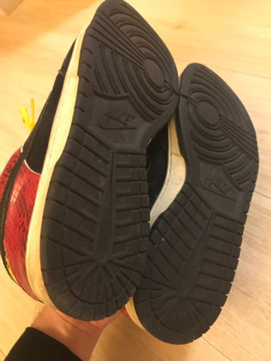 NIKE dunk sb CORAL SNAKE 28.5cm 中古