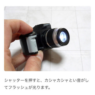 ガチャ　一眼レフカメラの画像