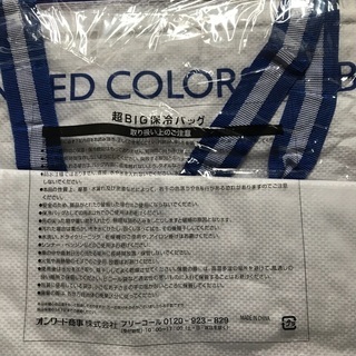 超BIG 保冷バッグの画像