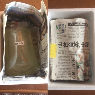 メダカ　黒鱗幹之　2ペア　産卵中　代引き発送可の画像