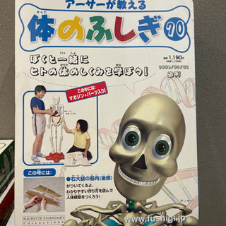 組み立てる人体模型です。一部足りませんが差し上げます。