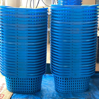 【商談中】収穫かご　49籠