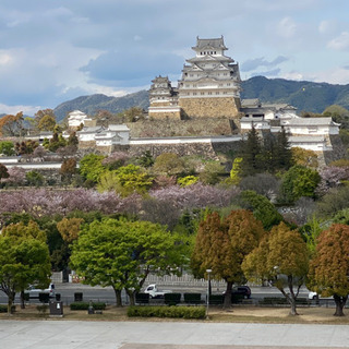 在宅ワーカー仲間♪