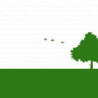 庭の木が大きくなって困っていませんか？