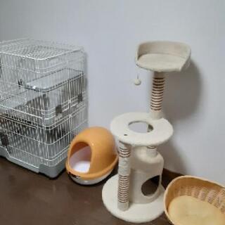 ゲージ、キャットタワー、トイレ、猫ベッド4点セットです