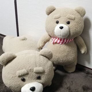 テッドぬいぐるみ