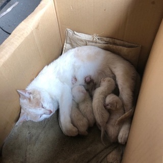 男の子　８ヶ月