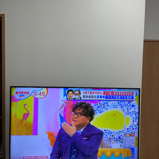 maxzen JU55SK04 4K対応55インチ液晶テレビ⭐️TOSHIBA 2019年製