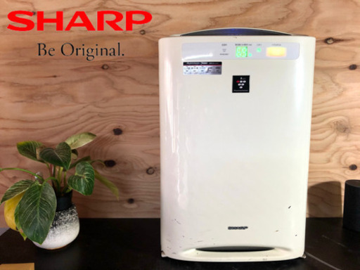 【激安‼️】SHARP 加湿 空気清浄機 プラズマクラスター✨ 配送無料