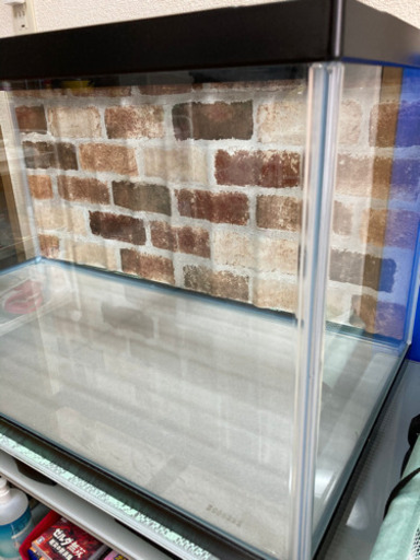 90センチ水槽