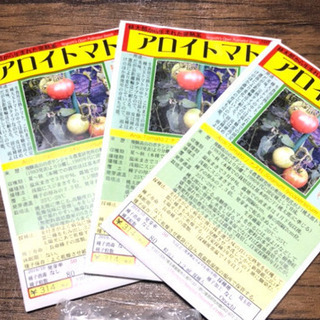 大玉トマトの苗　あげます！！お一人10株無料！！の画像