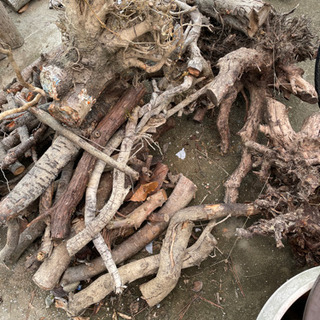 木　木片　焚き火にいかがですか？