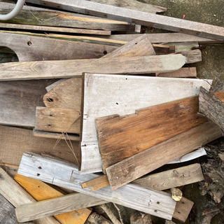 木　木片　焚き火にいかがですか？の画像