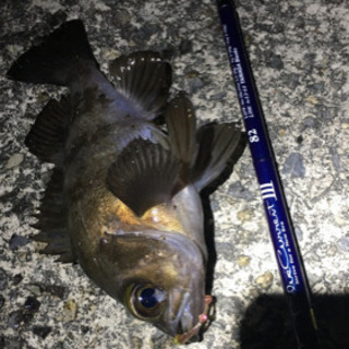 バス釣り・ライトソルト・クリーン活動仲間募集！ - 広島市