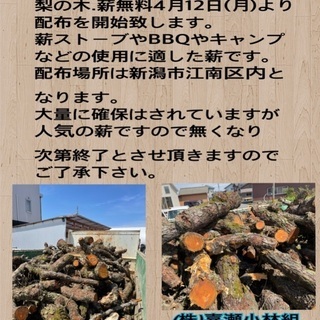 薪(梨の木)の無料配布開始致しました♪