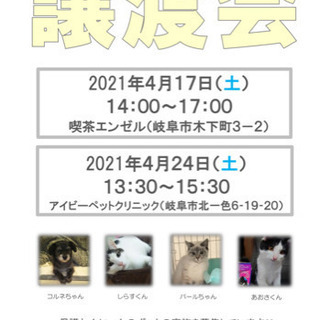 わんにゃん譲渡会☆岐阜市