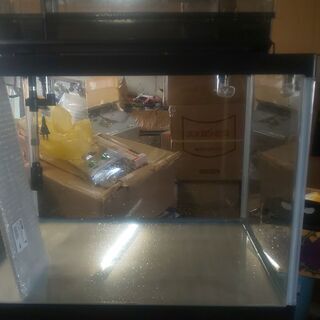 【ar様売約済専用】60㎝ワイド水槽・ライト、上部フィルター、ガラスフタ付きセットの画像