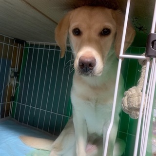 ご連絡ありがとうございました。一度受付終了します