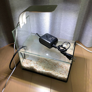 メダカ　水槽セット