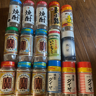 焼酎　16本