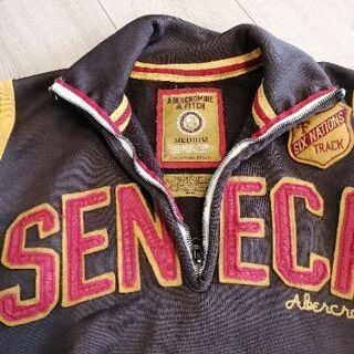 アバクロンビーフィッチのジャケットの画像