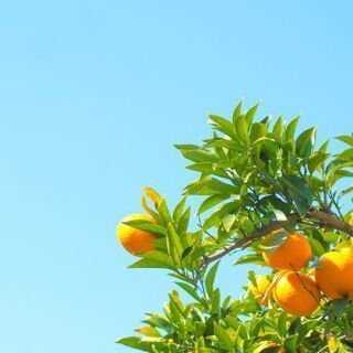 入居希望者を探すお仕事（広島県全域）
