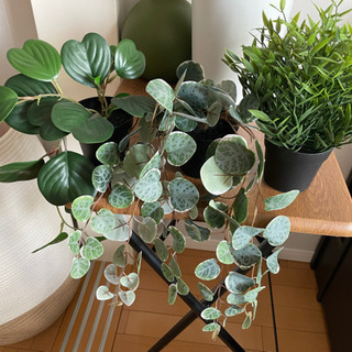 IKEA イケア　FEJKA フェイカ　人工観葉植物