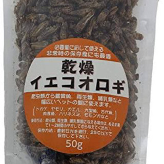 爬虫類などのエサに！乾燥イエコオロギ、数匹使用！