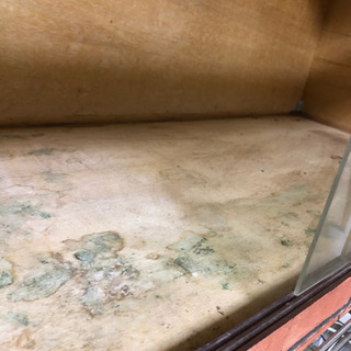 90センチ　木製ケージ　爬虫類等の画像