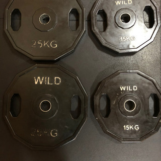 WILD プレート　4枚セット