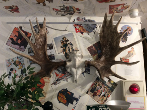 アウトレット品 ヘラジカオブジェ レプリカ