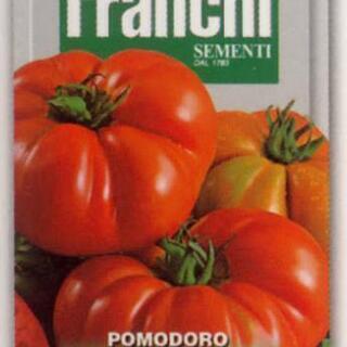 【⠀値下げしました！】イタリアのトマト フィオレンティーナ 苗