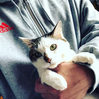 友達募集しまーす。( ˘ω˘ )