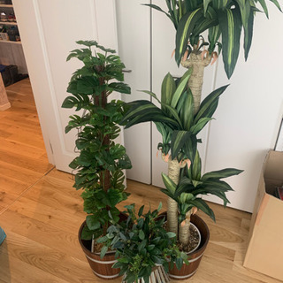 造花観葉植物　モンステラ
