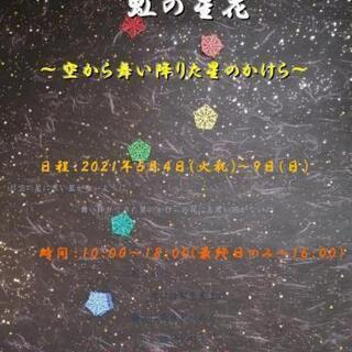 切り絵展“虹の星花”～空から舞い降りた星のかけら～(前半/旧安曇川郵便局) - 展示会