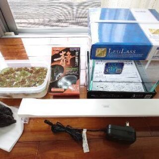 新品&中古 キューブ水槽.LEDライト.エアポンプ.溶岩石.浮き草