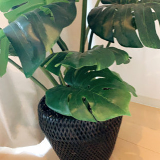 観葉植物【造花】