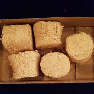 ヒバばんばん5個