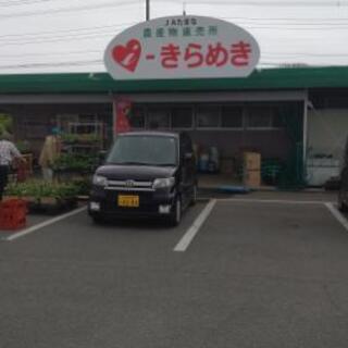 メダカ出品中
