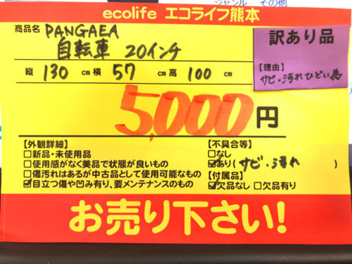 PANGAEA 自転車 20インチ【C4-416】