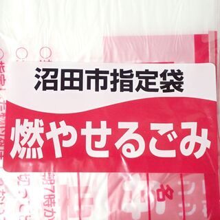 CB594 群馬県 沼田市指定袋 燃やせるごみ 大 45L 30枚入り×2袋の画像