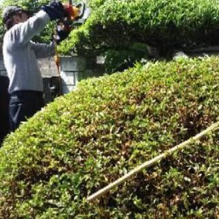 植木の剪定 伐採 草刈り