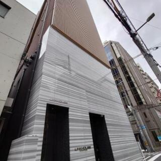 ３月完成の新築マンション🌸