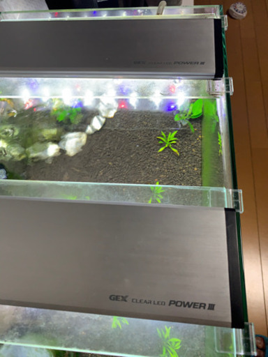 シュリンプ飼育セット　水槽　クーラー　レットビー